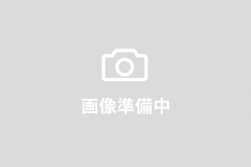 中古マンション さいたま市緑区東大門３丁目6-5 埼玉高速鉄道東川口駅 2,980万円